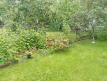 Działka rod Czeladź Piaski. Zdjęcie 1