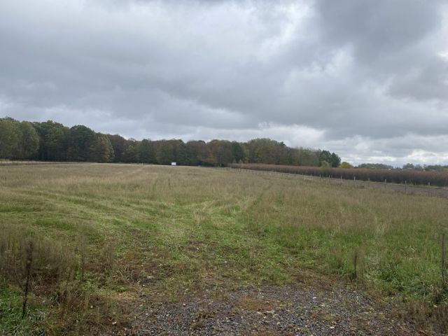 Działka inwestycyjna Kotliny. Zdjęcie 1