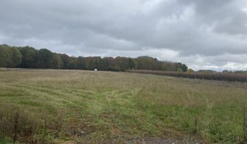 Działka inwestycyjna Kotliny