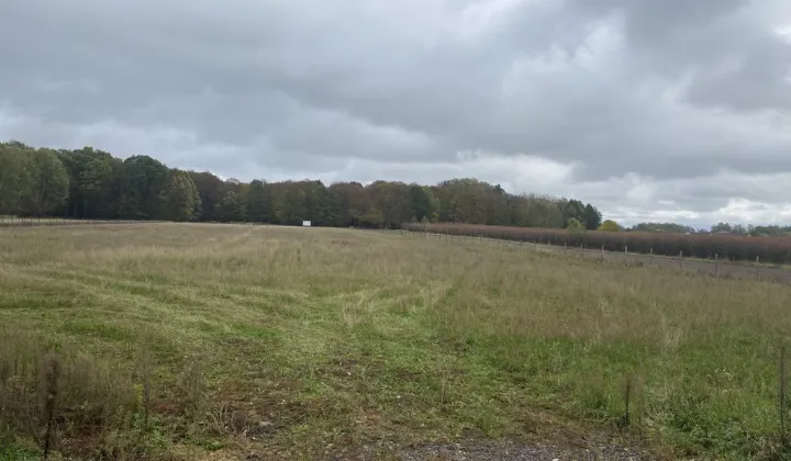 Działka inwestycyjna Kotliny