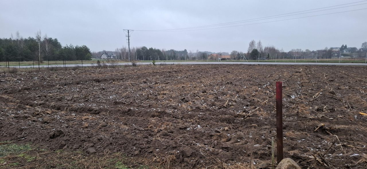 Działka inna Krynice. Zdjęcie 7