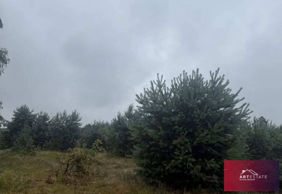 Działka rekreacyjna Nowy Adamów. Zdjęcie 2