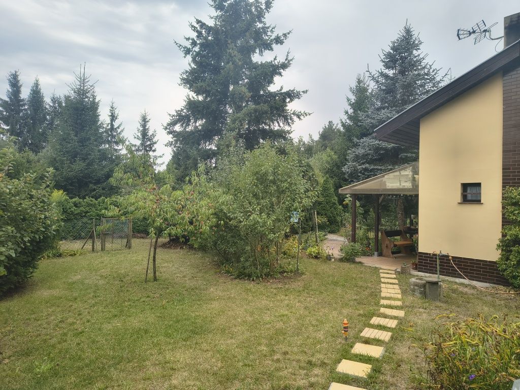 Działka rod Mosina. Zdjęcie 4