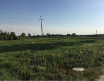 Działka budowlana Jacewo. Zdjęcie 4