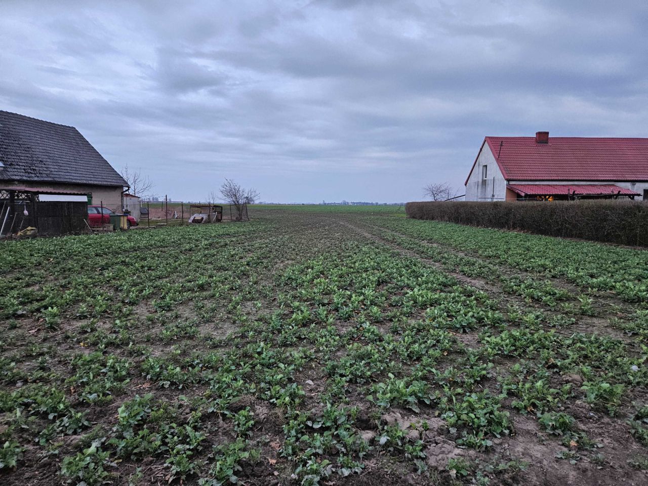 Działka budowlana Sędzinko. Zdjęcie 7