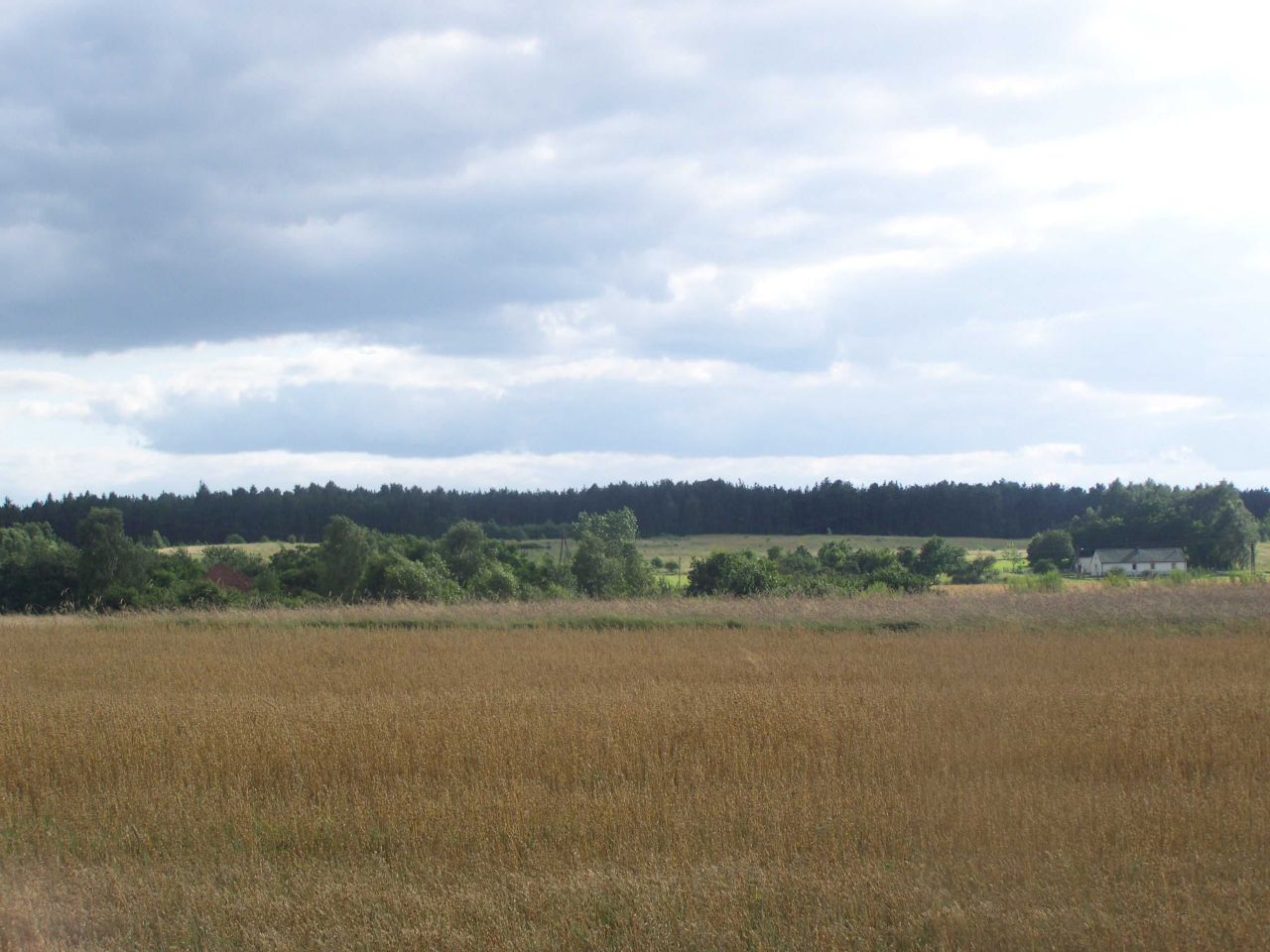 Działka budowlana Dąbrówka-Marianka