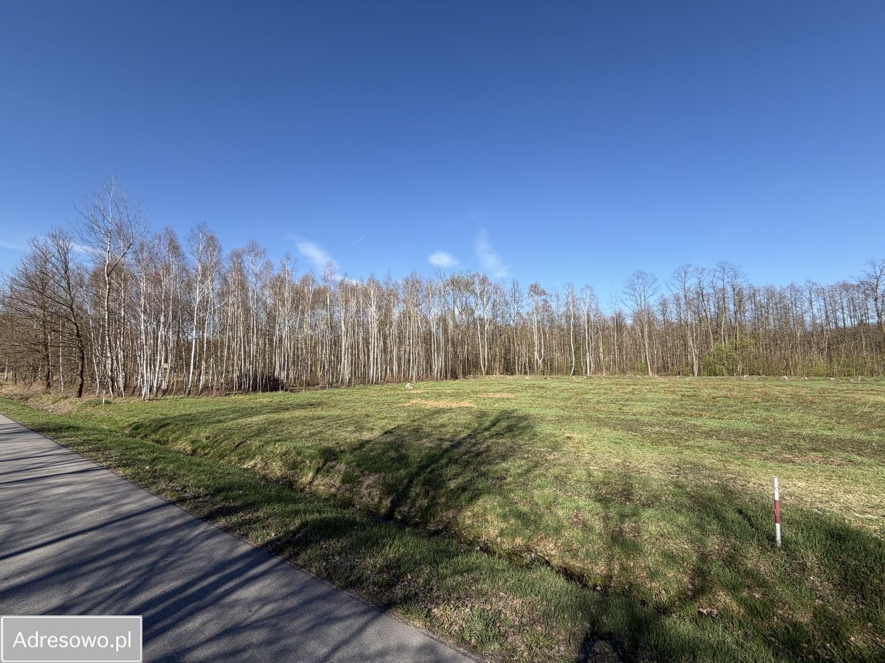Działka budowlana Trzciana. Zdjęcie 6