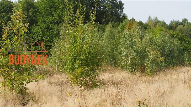 Działka rolna Karsino. Zdjęcie 10