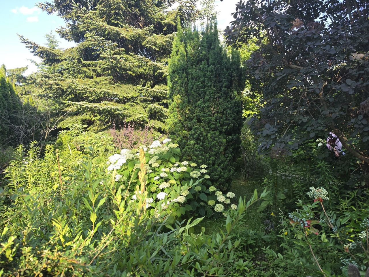 Działka rod Łódź Polesie, ul. Nowe Sady. Zdjęcie 5