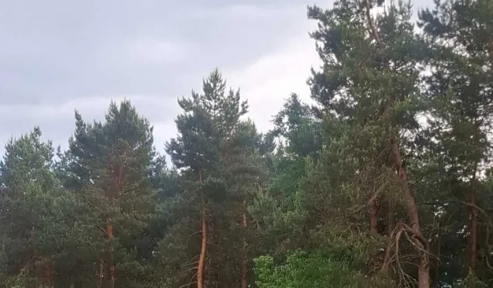 Działka rolno-budowlana Hucisko