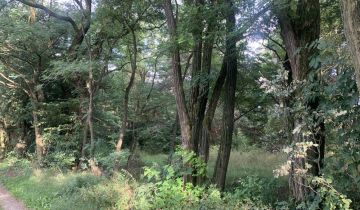 Działka budowlana Huta Dłutowska