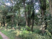 Działka budowlana Huta Dłutowska. Zdjęcie 1