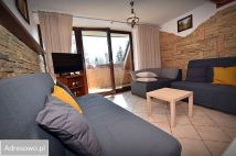 Mieszkanie 1-pokojowe Kościelisko, ul. Nędzy Kubińca. Zdjęcie 3