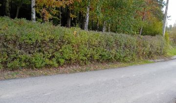 Działka rolno-budowlana Nosówka