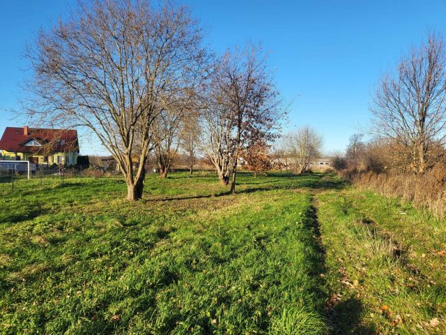 Działka rolna Bielkowo. Zdjęcie 1