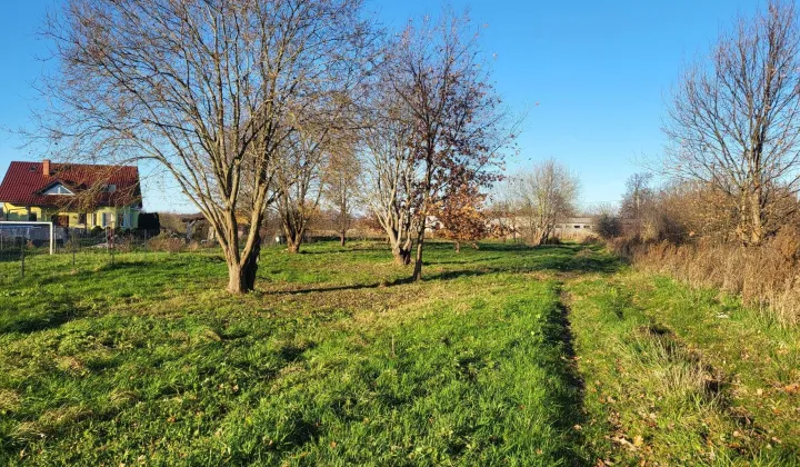 Działka rolna Bielkowo