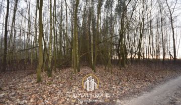 Działka leśna Jawidz Gajówka