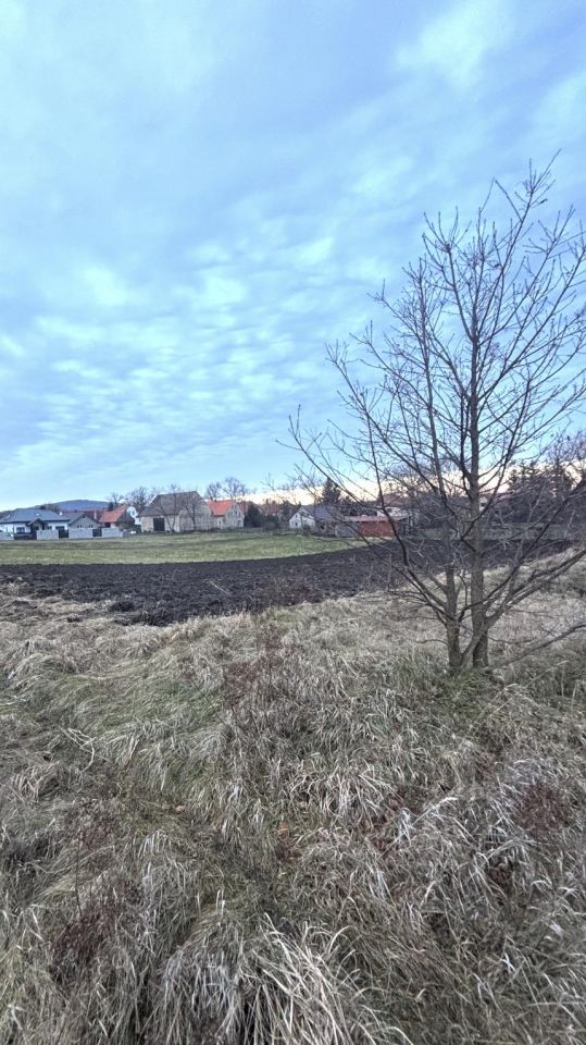 Działka budowlana Oleszna, ul. Błękitna. Zdjęcie 1