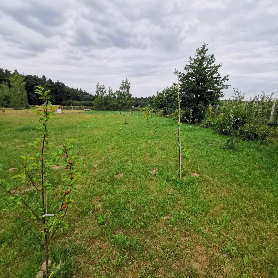 Działka inwestycyjna Michrów. Zdjęcie 3