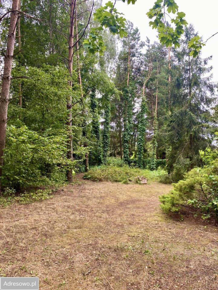 Działka Ldzań. Zdjęcie 20