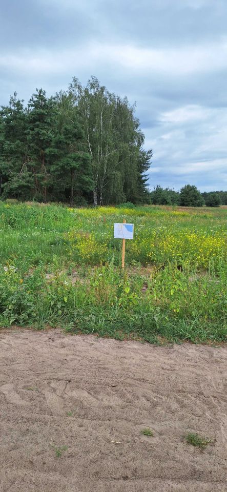 Działka rekreacyjna Wieleń. Zdjęcie 4
