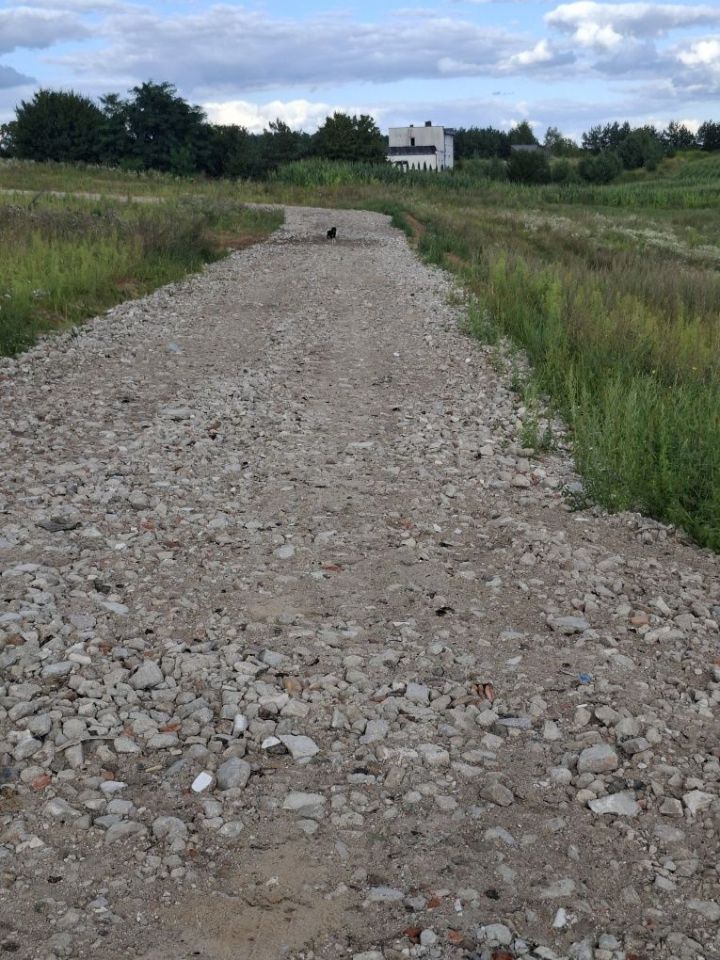 Działka budowlana Karbowo, ul. Olsztyńska. Zdjęcie 5