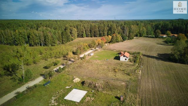 Działka rekreacyjna Tomaszyn. Zdjęcie 12