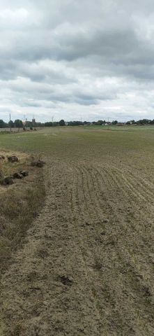 Działka budowlana Boleszkowice. Zdjęcie 1