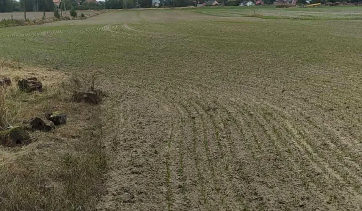 Działka budowlana Boleszkowice