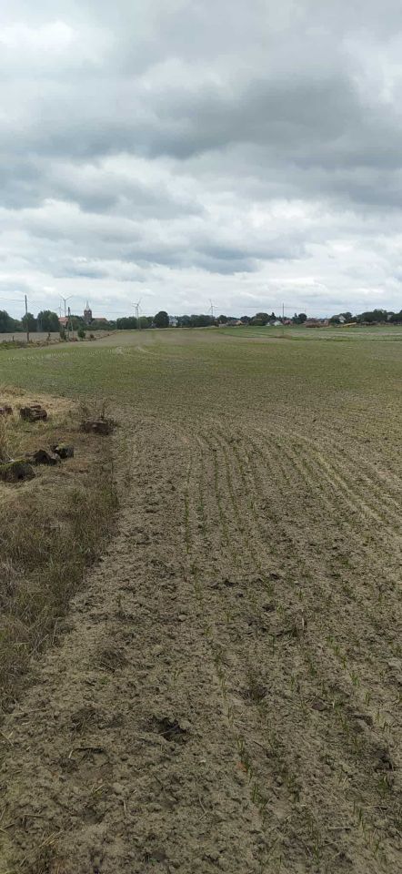 Działka budowlana Boleszkowice