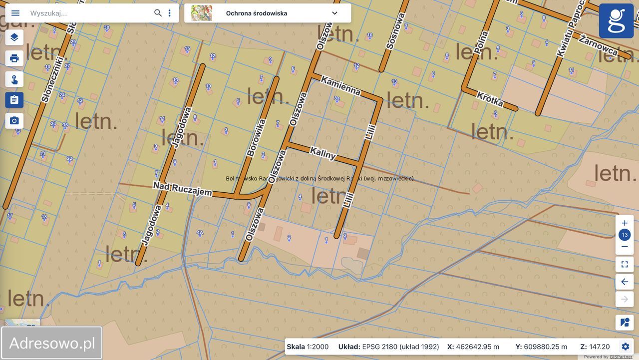 Działka leśna Adamów-Wieś, ul. Kaliny. Zdjęcie 5