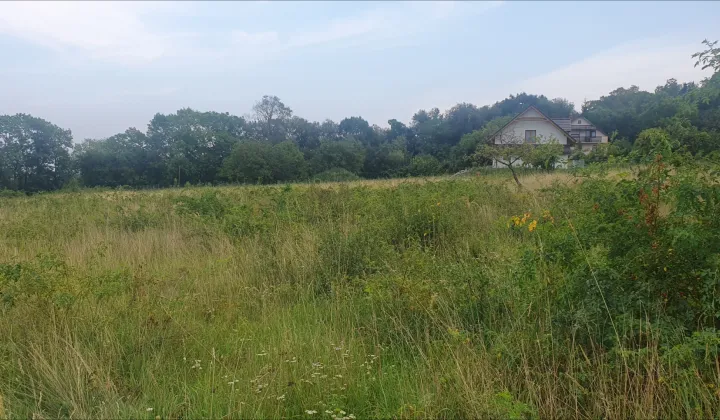 Działka budowlana Pieszyce, Brak