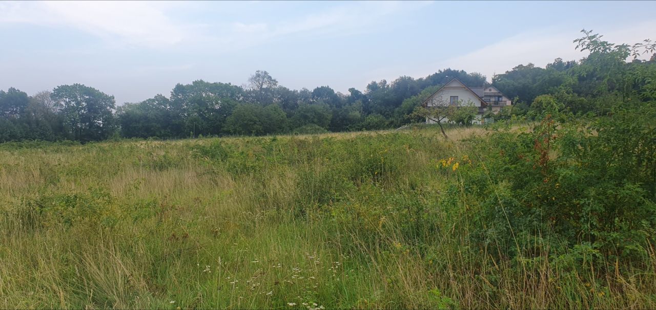 Działka budowlana Pieszyce, Brak. Zdjęcie 1