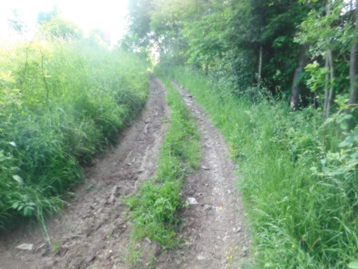 Działka budowlana Zawoja Przysłop. Zdjęcie 3