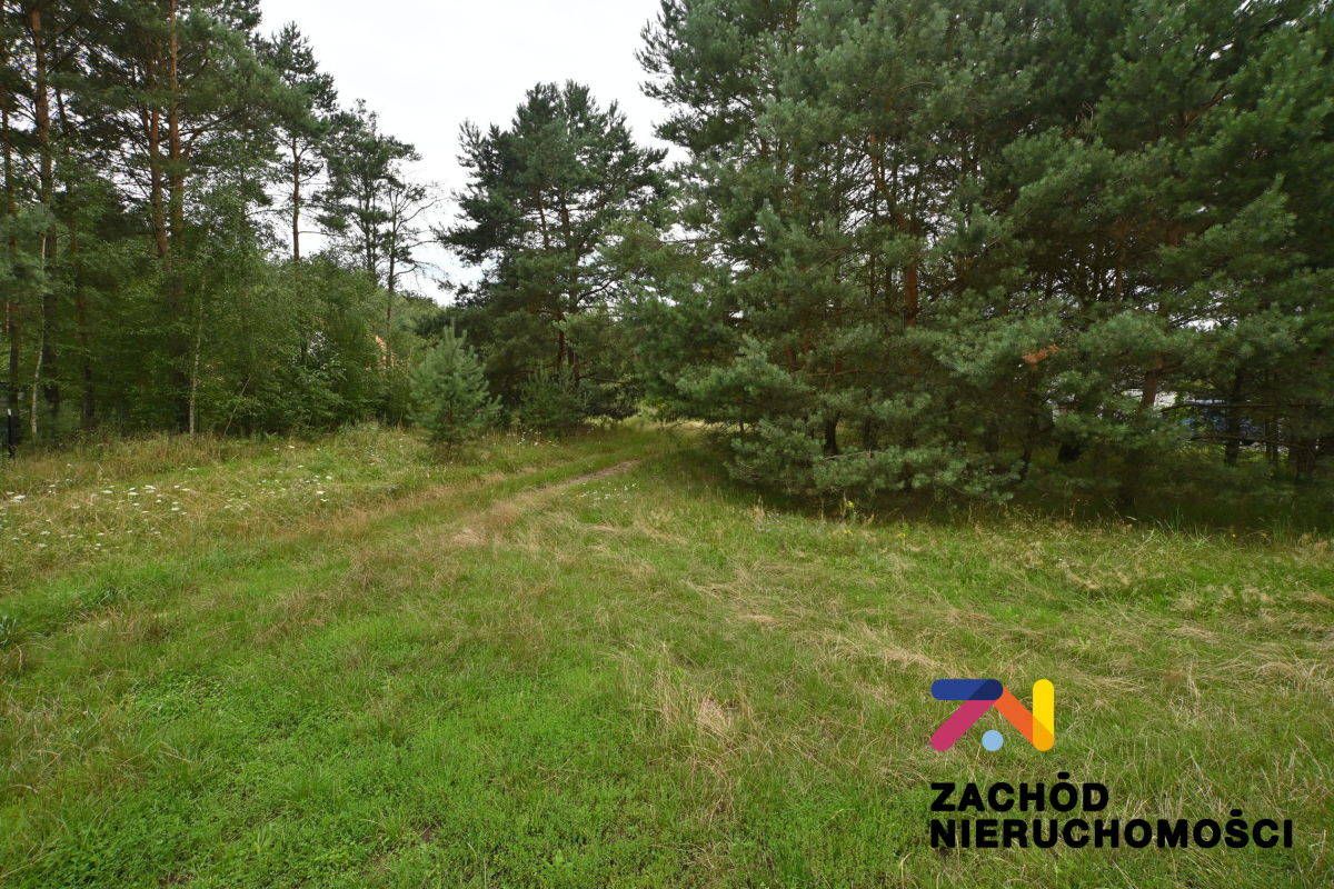 Działka budowlana Czarna. Zdjęcie 2