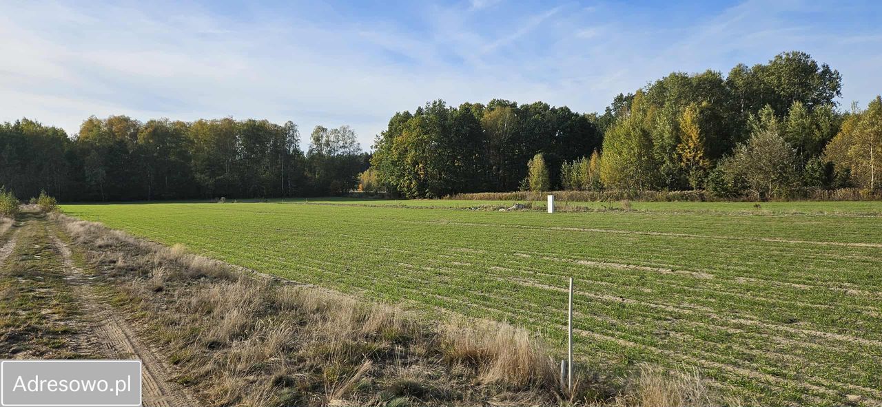 Działka budowlana Nowa Pogorzel, ul. Długa. Zdjęcie 4