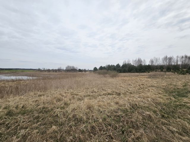 Działka rolna Nowy Dwór. Zdjęcie 7