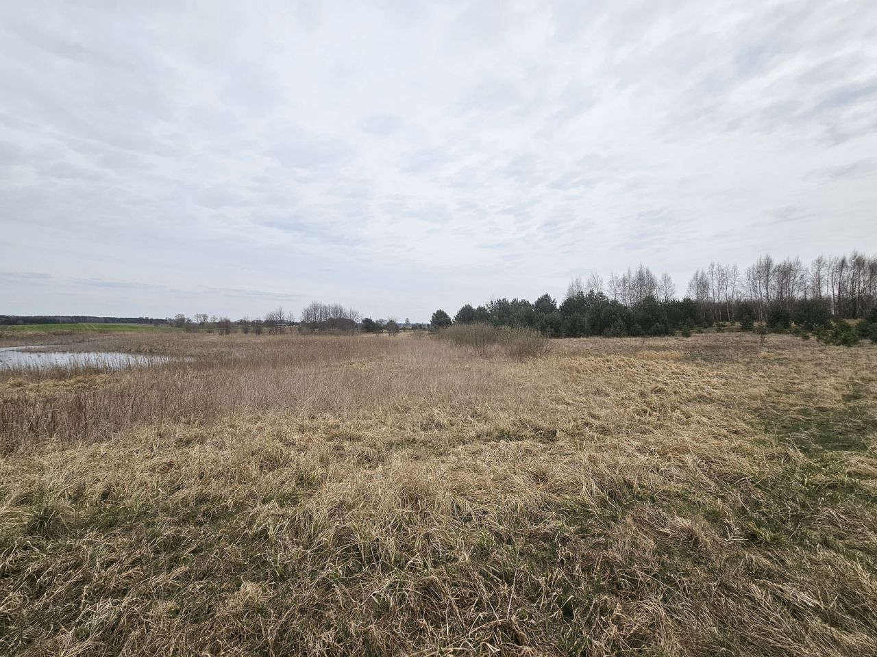 Działka rolna Nowy Dwór. Zdjęcie 7