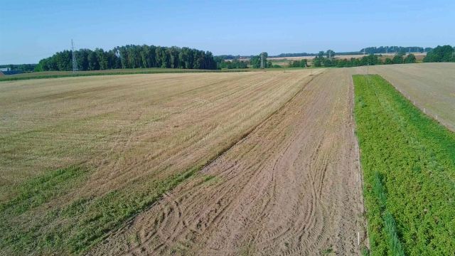 Działka rolna Golczewo. Zdjęcie 5