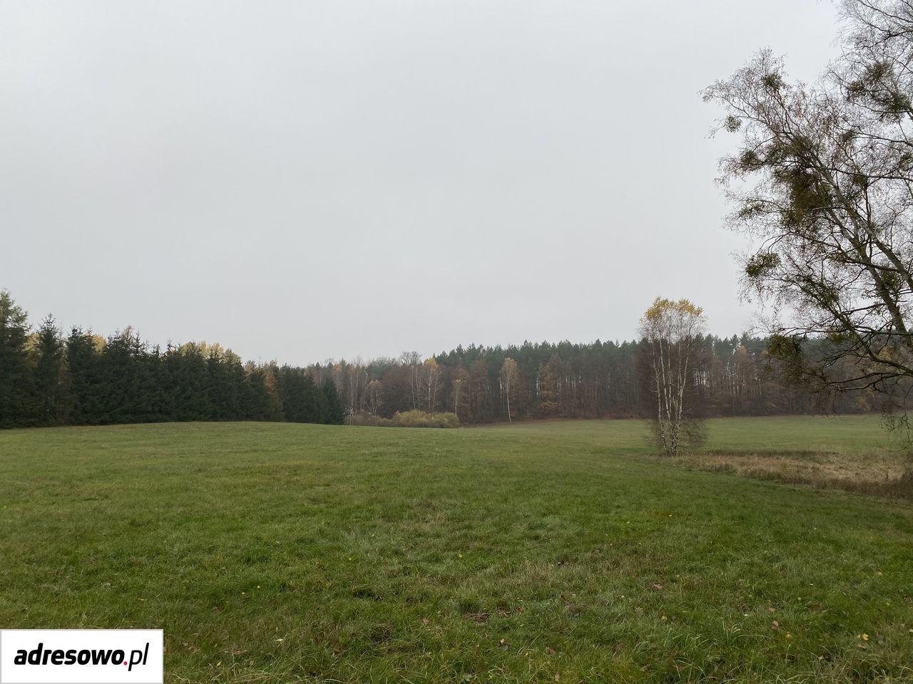 Działka budowlana Mosina. Zdjęcie 9