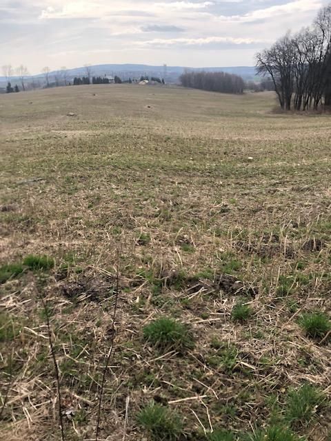 Działka inwestycyjna Racławówka Zabierzów. Zdjęcie 6