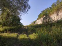 Działka inwestycyjna Opoczka Mała. Zdjęcie 3