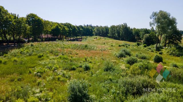 Działka budowlana Księżno. Zdjęcie 7