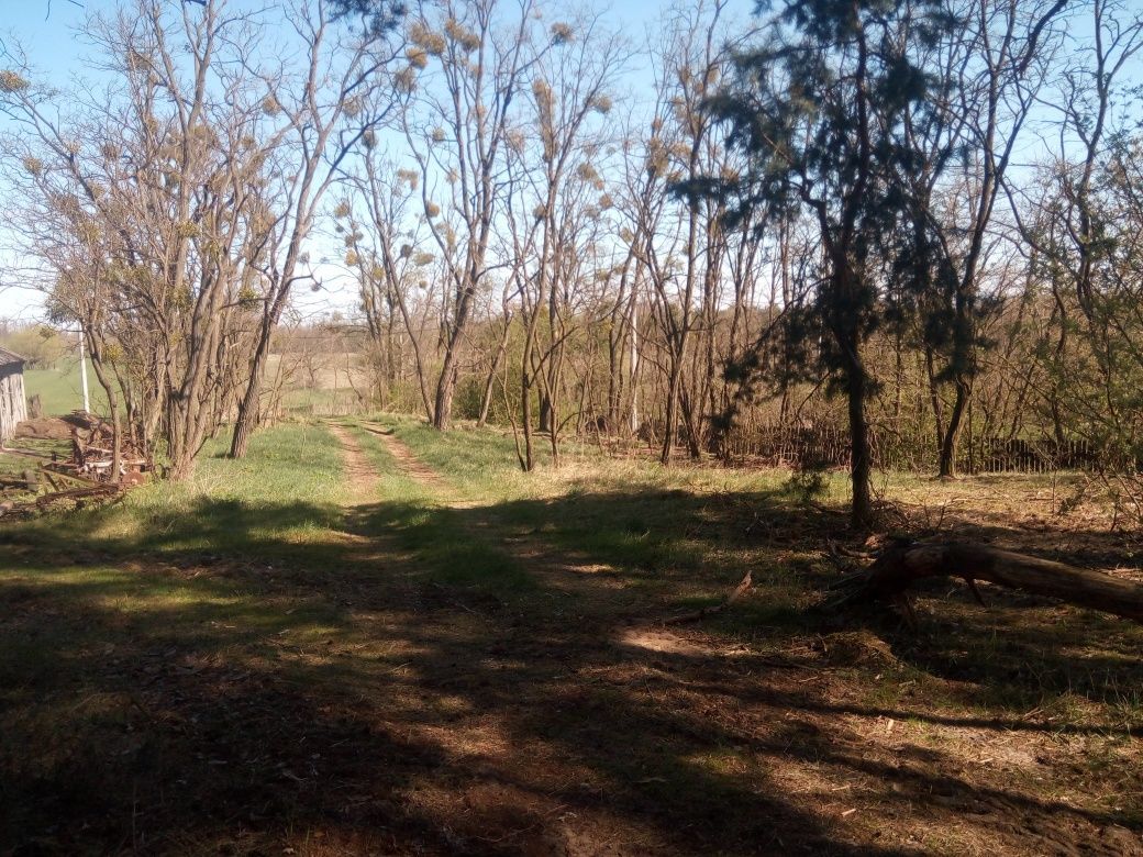 Działka rolno-budowlana Przęsławice. Zdjęcie 7