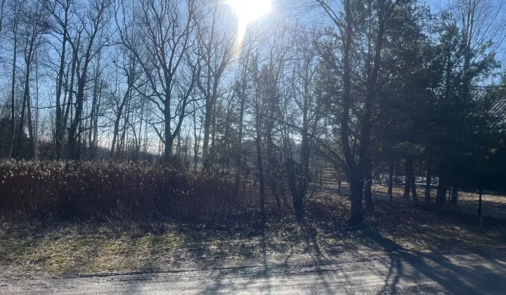 Działka budowlana Józefów, ul. Leśna