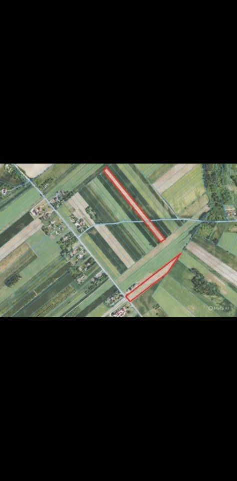 Działka rolna Gromadzice. Zdjęcie 2