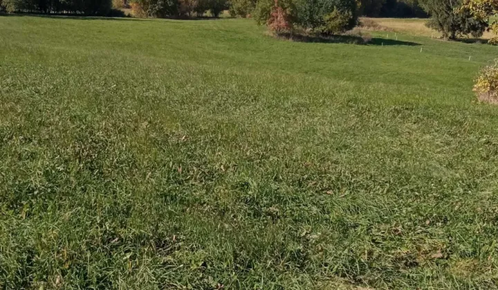 Działka rolna Leśnica