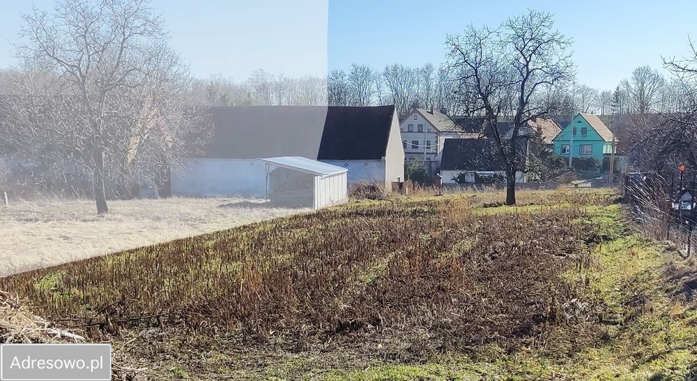 Działka rolno-budowlana Złotogłowice. Zdjęcie 4