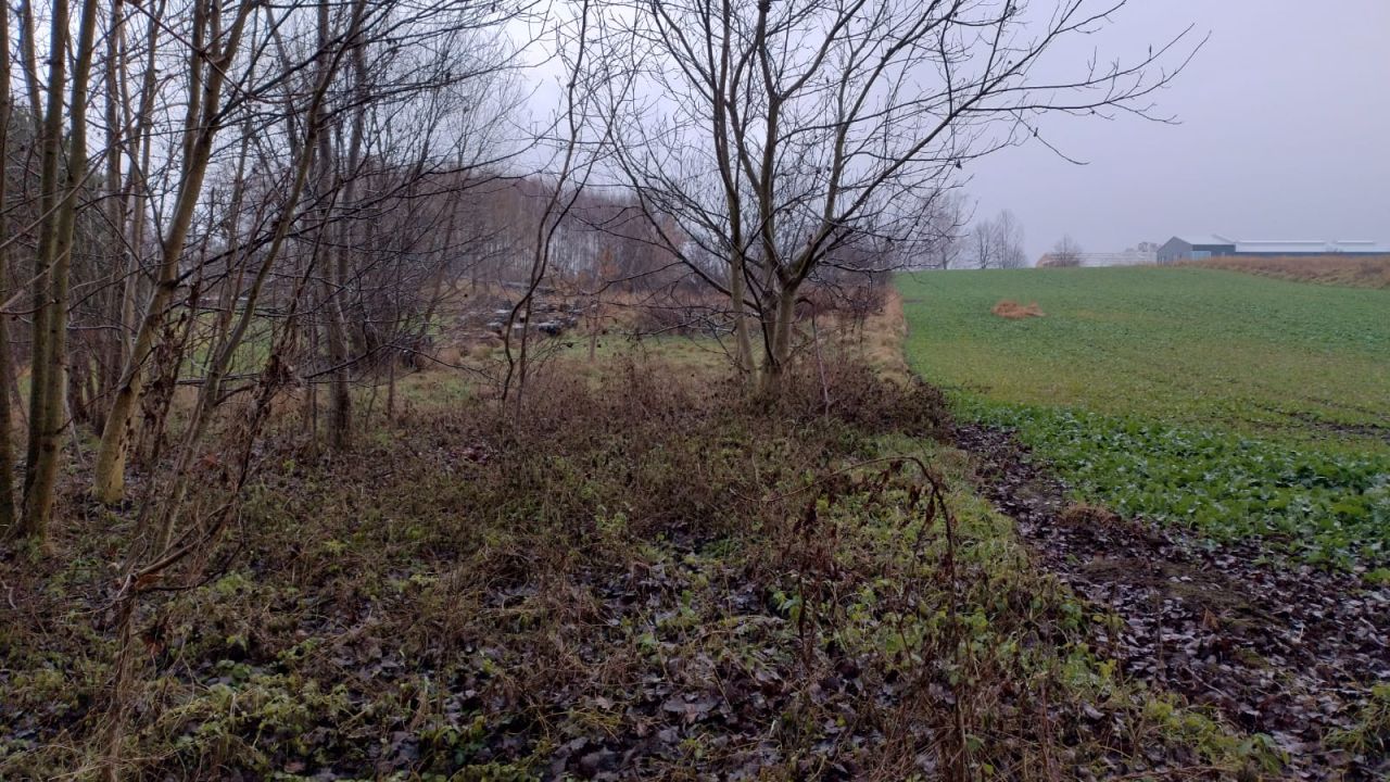 Działka budowlana Targowisko. Zdjęcie 2