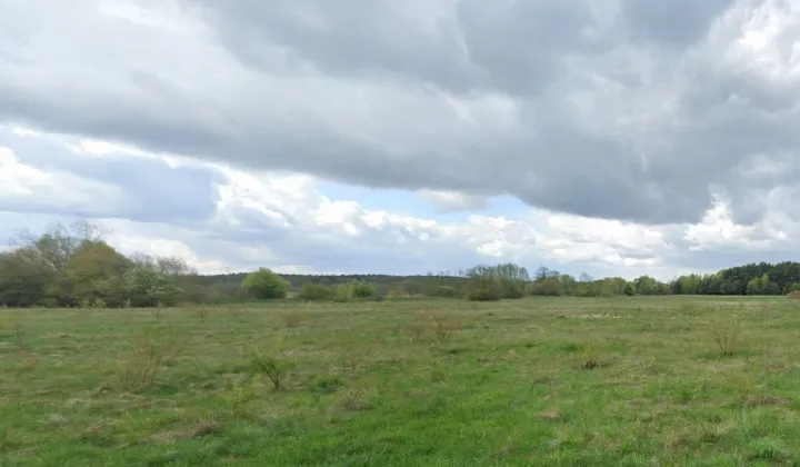 Działka rolna Skrzeszew, ul. Spacerowa